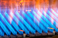 Leeholme gas fired boilers